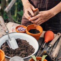 Onze favoriete planten: kruiden & eetbare bloemen voor stadstuiniers (bio) - zaad-cadeau set