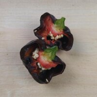 Mexicaanse chili Chilhuacle Negro (Capsicum annuum) zaden