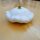 Witte patisson  / witte pompoen  Custard White (Cucurbita pepo) zaden