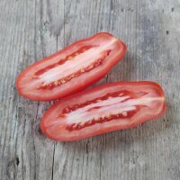 Tomaat San Marzano (Solanum lycopersicum) zaden