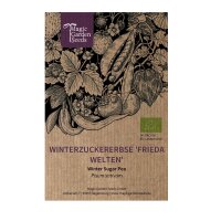 Wintersuikererwt Frieda Welten (Pisum sativum) bio zaad