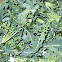 Broccolo Fiolaro (Brassica oleracea var. Italica) bio