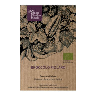 Broccolo Fiolaro (Brassica oleracea var. Italica) bio