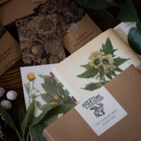 Bloemen snackpakket - BEE STEEZ (bio)