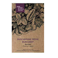 Violette bosboon Royal Burgundy (Phaseolus vulgaris) zaden