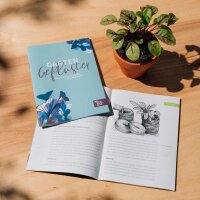 De drie gezusters- zaad-cadeauset