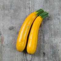 Gele courgette Goldena (Cucurbita pepo) zaden